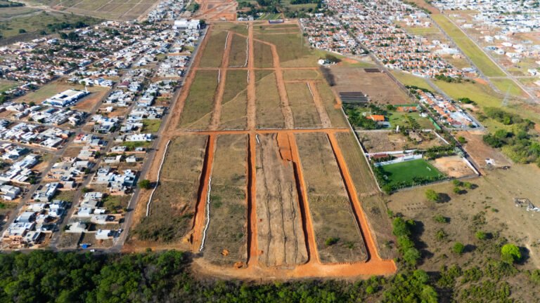 Jardim dos Girassóis
